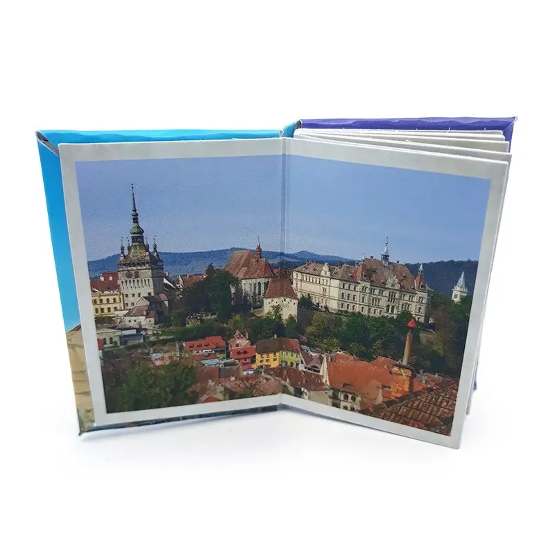 Sighisoara, magnet carte